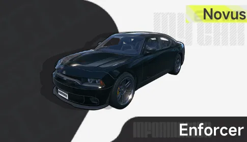 Enforcer